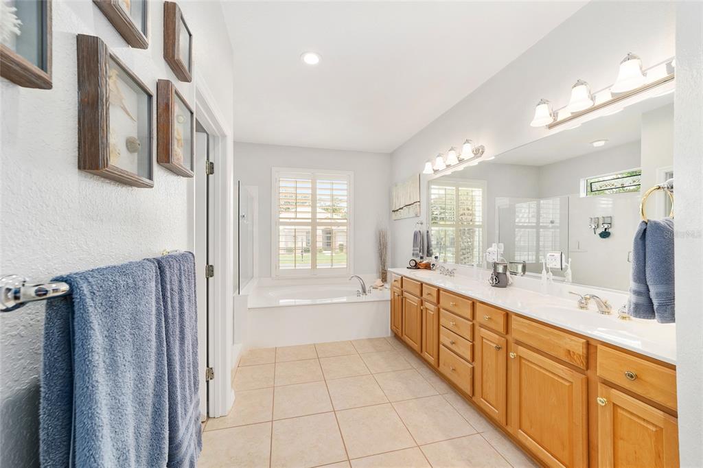 12859 Southeast 91st Terrace Road Summerfield, FL 34491 - Photo 28 of 87