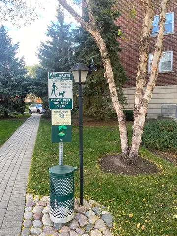 a view of a backyard with garden and plants