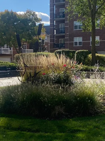 a view of a yard with plants and large trees