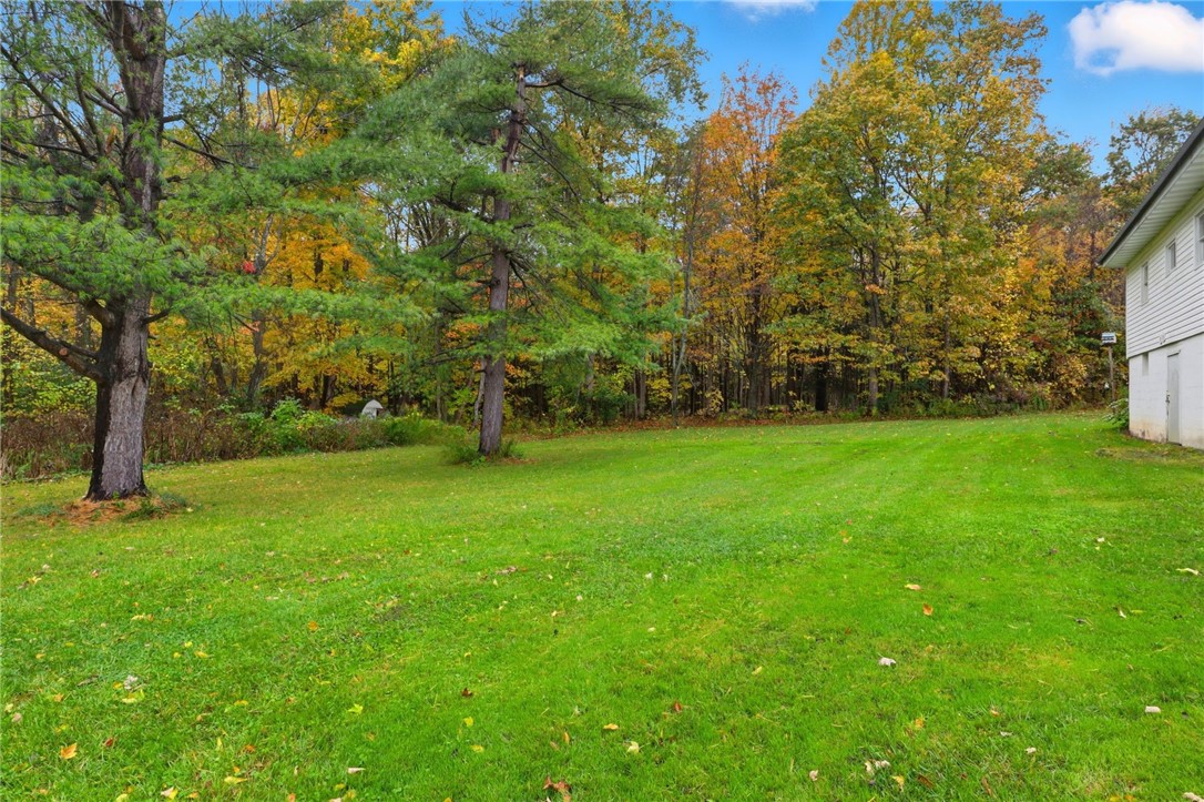 13195 Cotten Road Savannah, NY 13146 - Photo 33 of 34