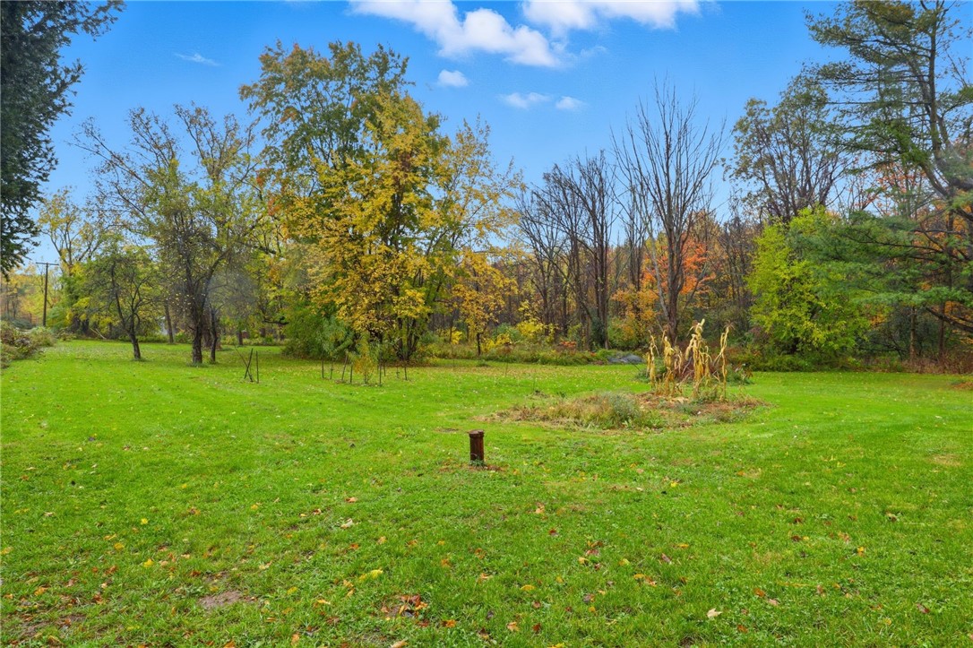 13195 Cotten Road Savannah, NY 13146 - Photo 34 of 34