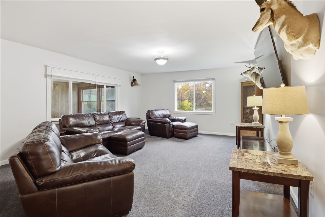 13195 Cotten Road Savannah, NY 13146 - Photo 4 of 34