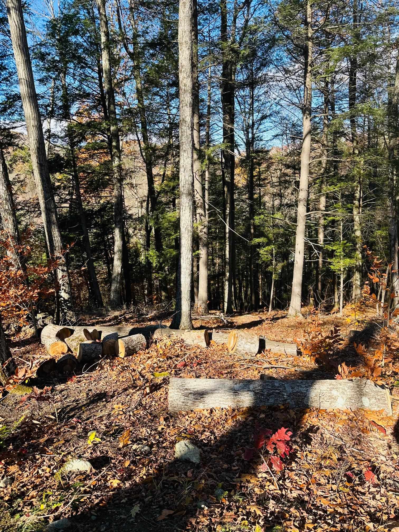 0 Cooke Road Brattleboro, VT 05301 - Photo 3 of 8