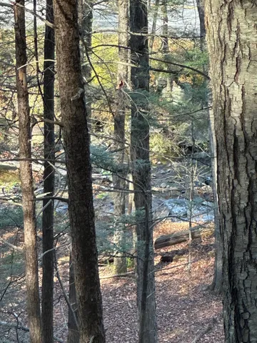 $52,000 | 0 Cooke Road, Brattleboro, VT 05301