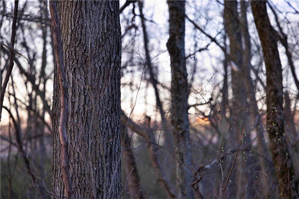 Williams Road Dearborn, MO 64439 - Photo 14 of 48