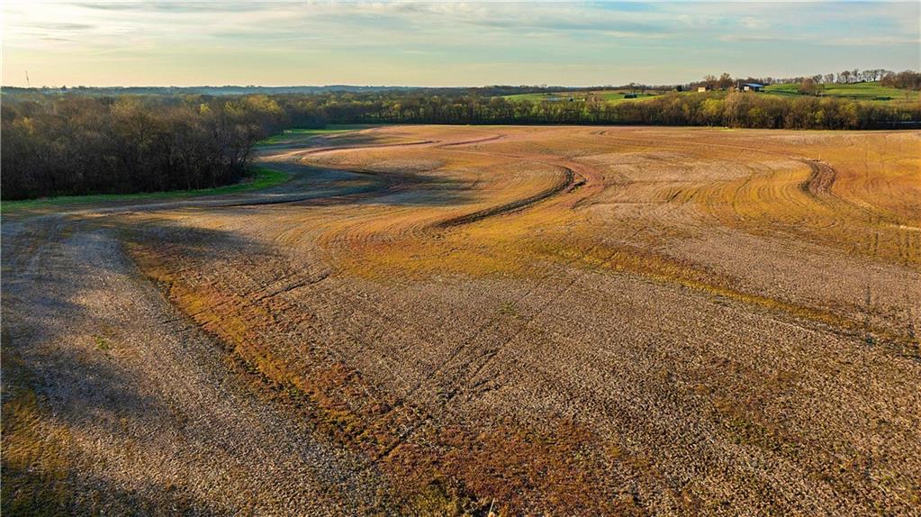 Williams Road Dearborn, MO 64439 - Photo 17 of 48