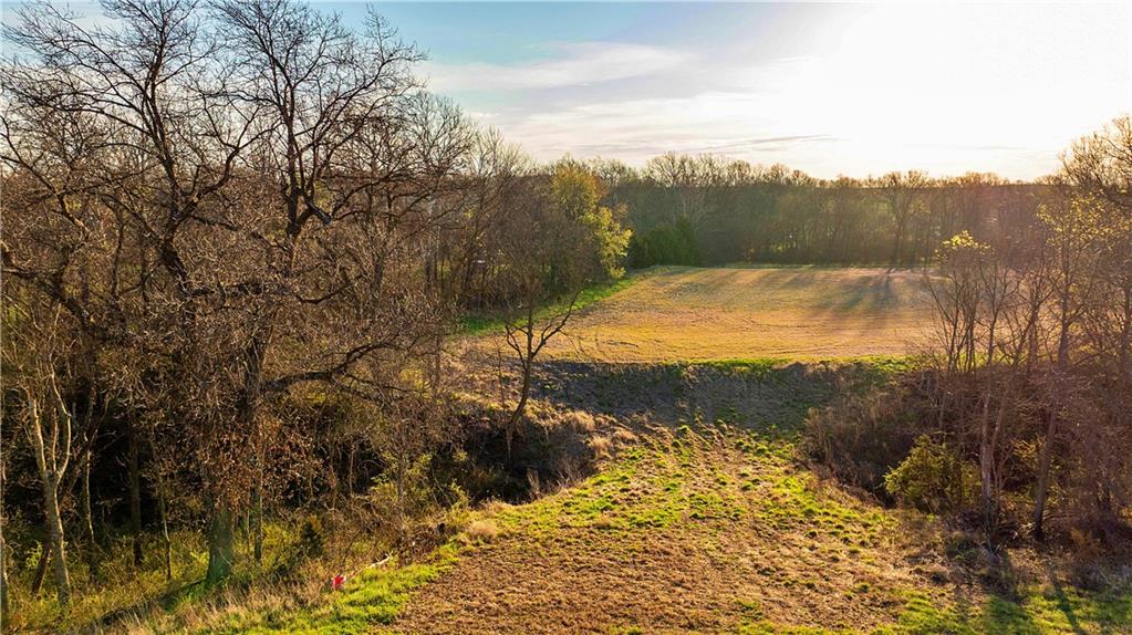 Williams Road Dearborn, MO 64439 - Photo 19 of 48