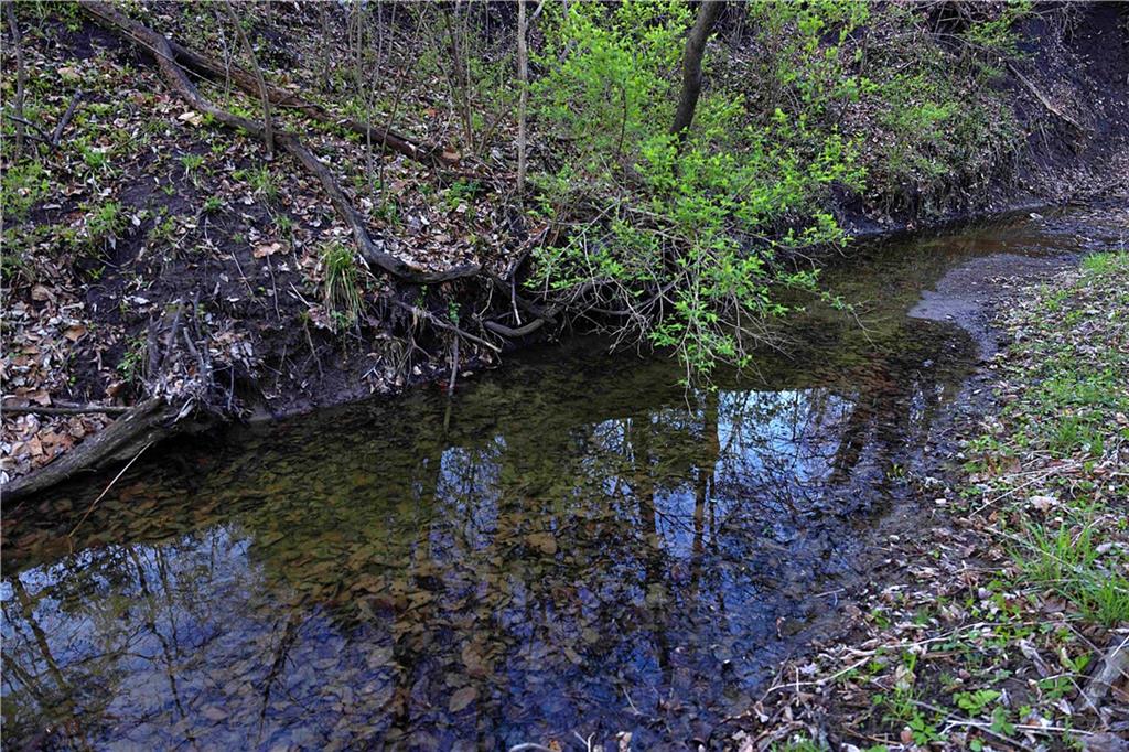 Williams Road Dearborn, MO 64439 - Photo 21 of 48