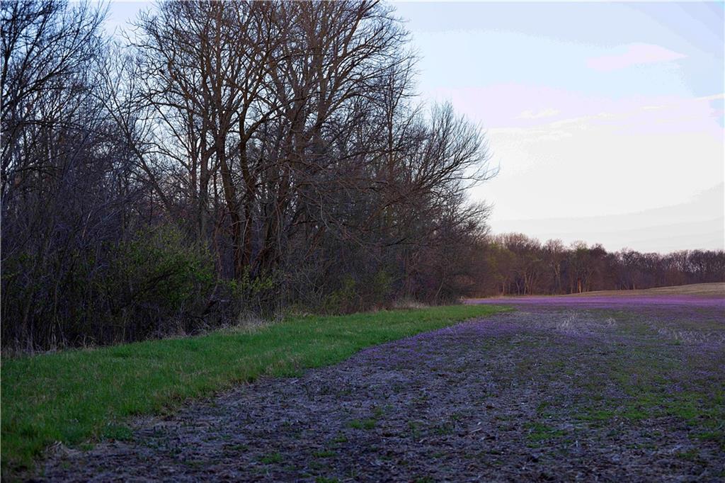 Williams Road Dearborn, MO 64439 - Photo 22 of 48