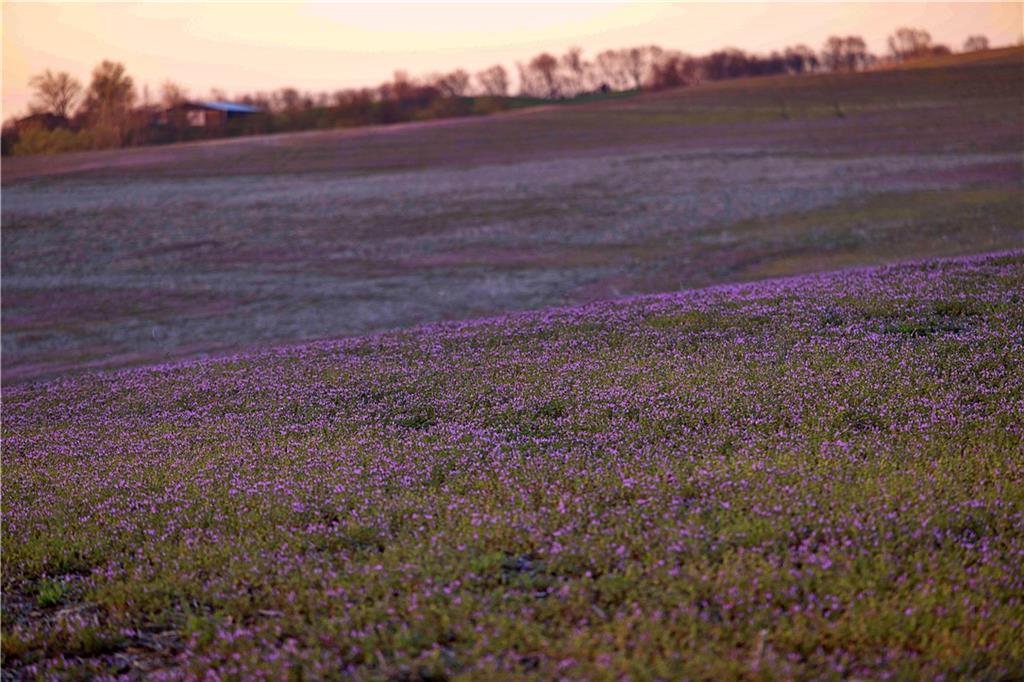 Williams Road Dearborn, MO 64439 - Photo 26 of 48