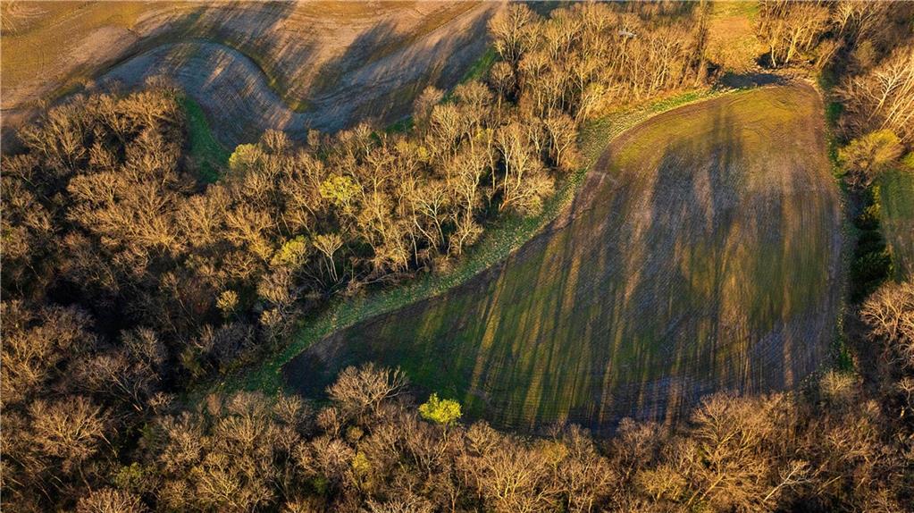 Williams Road Dearborn, MO 64439 - Photo 27 of 48