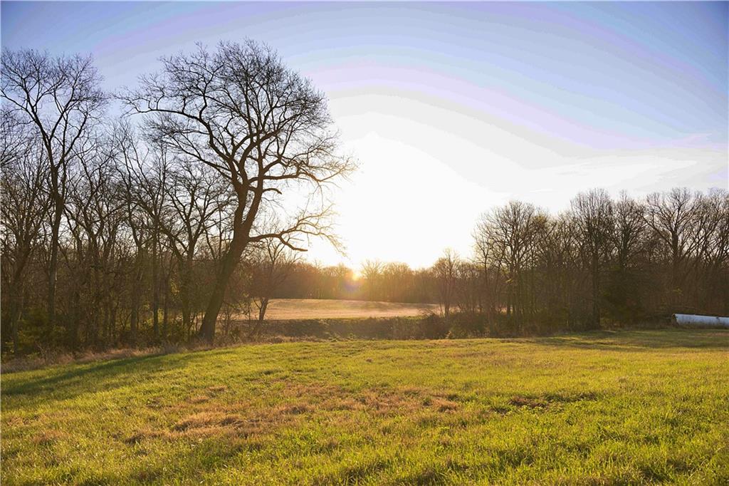 Williams Road Dearborn, MO 64439 - Photo 3 of 48