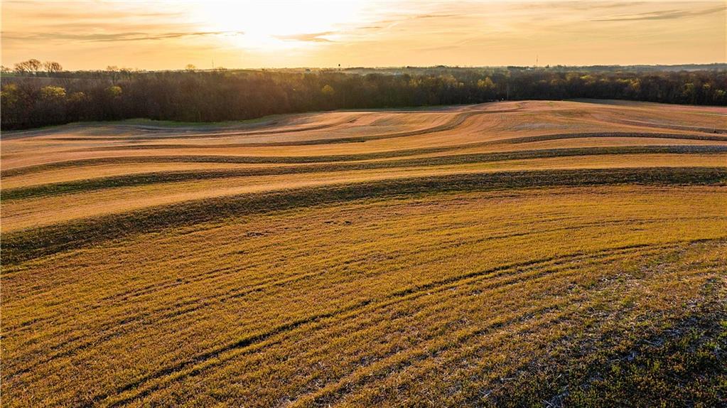 Williams Road Dearborn, MO 64439 - Photo 34 of 48