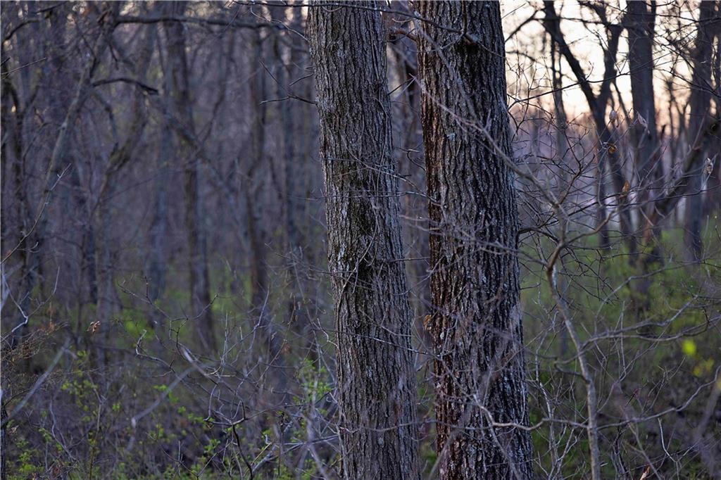 Williams Road Dearborn, MO 64439 - Photo 35 of 48