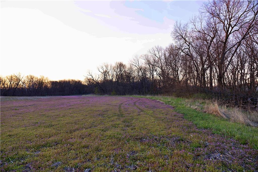 Williams Road Dearborn, MO 64439 - Photo 38 of 48