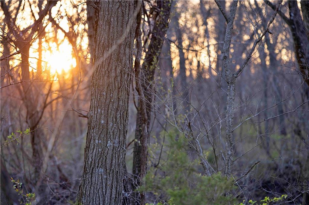 Williams Road Dearborn, MO 64439 - Photo 4 of 48