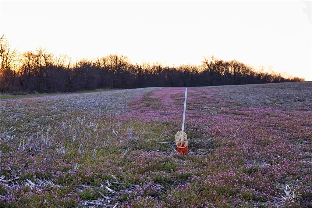 Williams Road Dearborn, MO 64439 - Photo 41 of 48