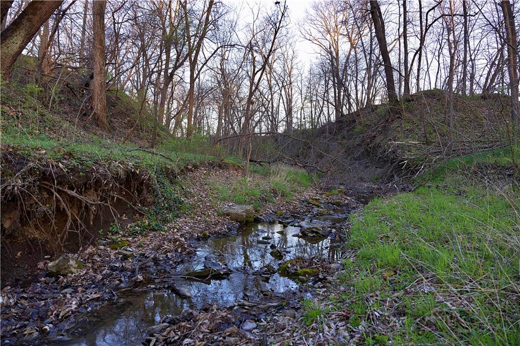 Williams Road Dearborn, MO 64439 - Photo 44 of 48