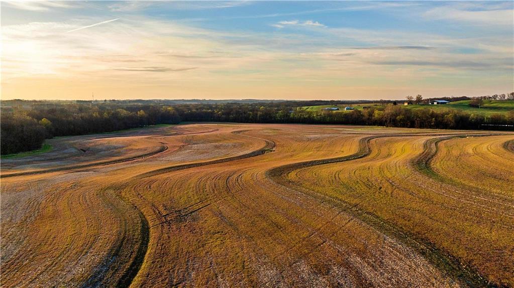 Williams Road Dearborn, MO 64439 - Photo 45 of 48