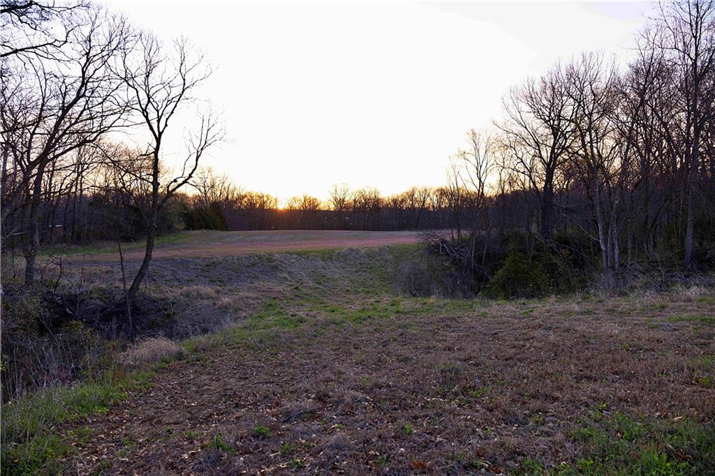 Williams Road Dearborn, MO 64439 - Photo 46 of 48