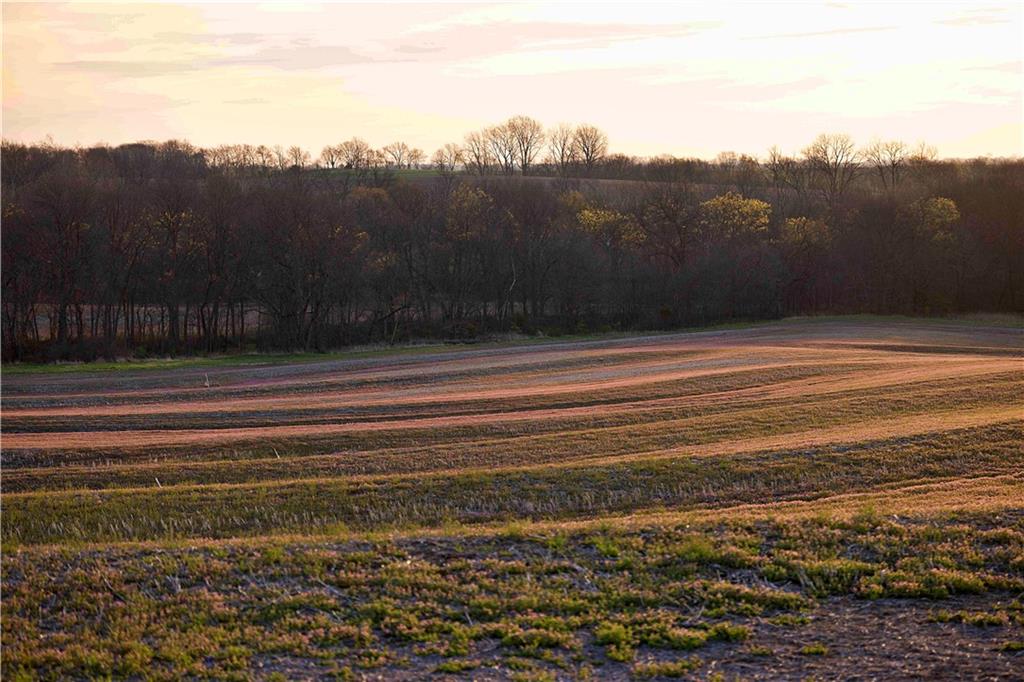 Williams Road Dearborn, MO 64439 - Photo 7 of 48