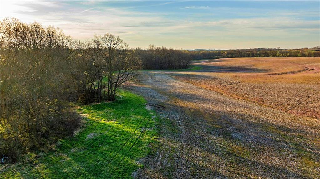 Williams Road Dearborn, MO 64439 - Photo 10 of 48