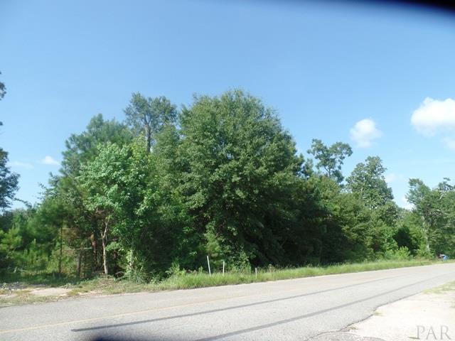 957 Old Bratt Road Atmore, AL 36502 - Photo 2 of 11