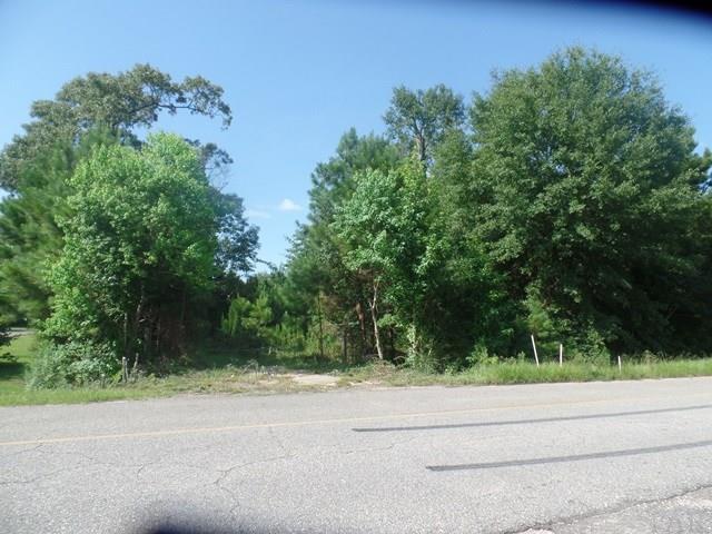 957 Old Bratt Road Atmore, AL 36502 - Photo 3 of 11