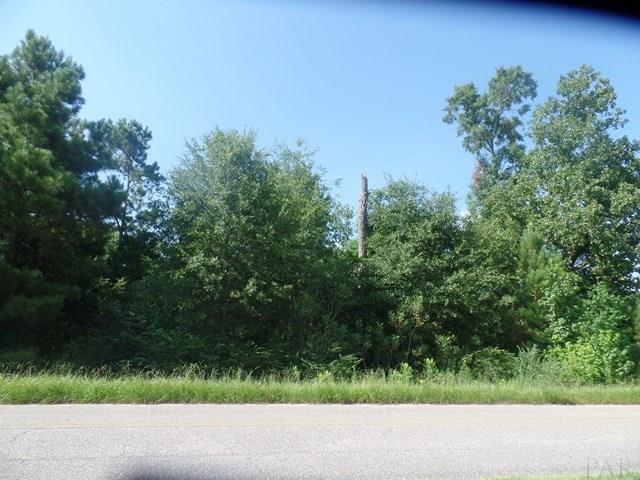 957 Old Bratt Road Atmore, AL 36502 - Photo 7 of 11