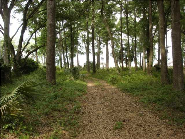 12 Palmetto Road, Unit DB Edisto Island, SC 29438 - Photo 2 of 4 Additional Photo
