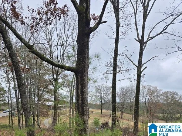$22,000 | 0 Capricorn Drive, Alpine, AL 35014
