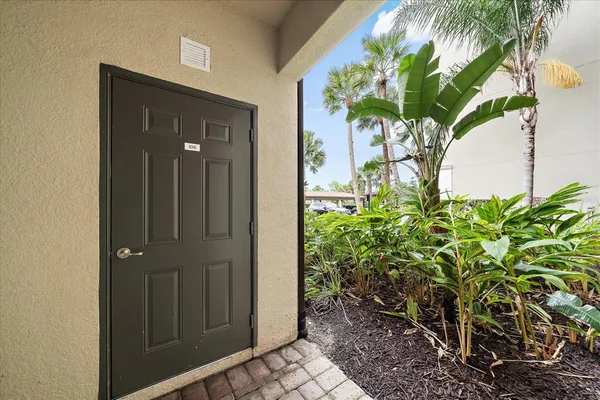 a view of a potted plant in front of a door