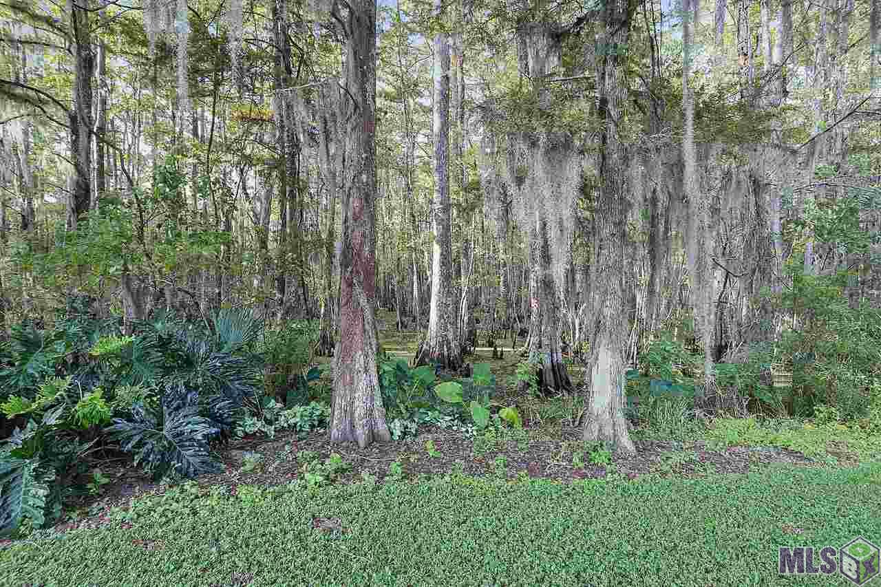 310 Bayou Tranquille Road Pierre Part, LA 70339 - Photo 20 of 23 Gallery Image 20