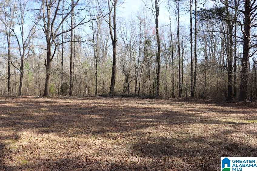 4908 Jim Goggans Road Dora, AL 35062 - Photo 30 of 30