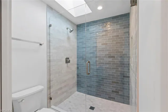 a bathroom with a shower and toilet