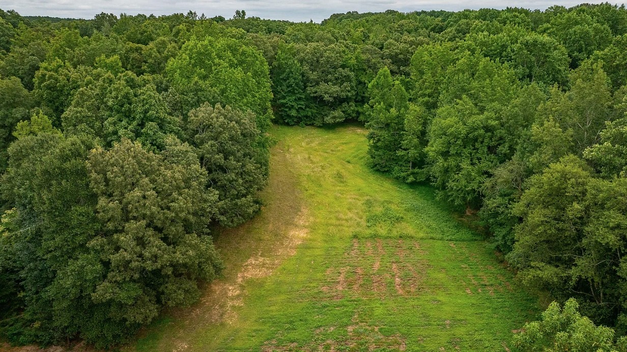 0 Mebane Cemetery Road Huntingdon, TN 38344 - Photo 11 of 14 a view of a yard