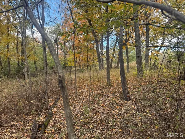 $130,000 | 0 Pawnee Drive, New London, MO 63459