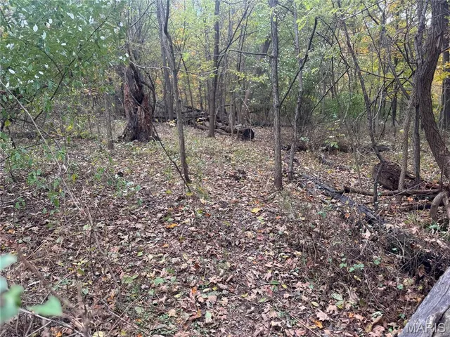 $130,000 | 0 Pawnee Drive, New London, MO 63459