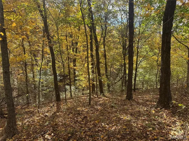 $130,000 | 0 Pawnee Drive, New London, MO 63459