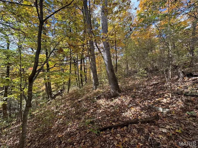 $130,000 | 0 Pawnee Drive, New London, MO 63459