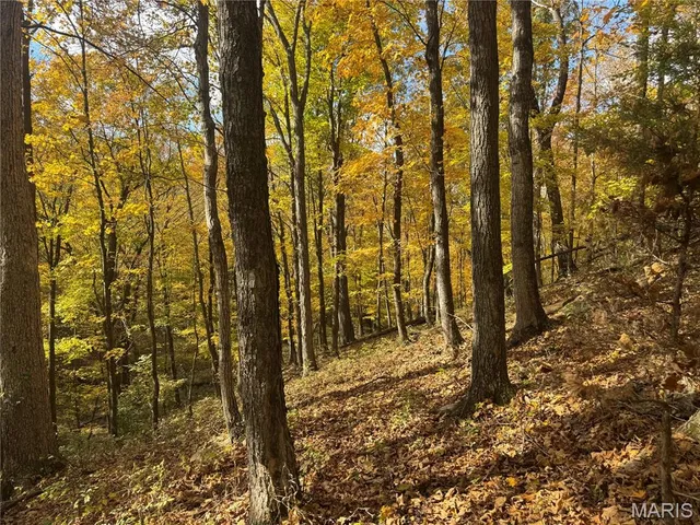 $130,000 | 0 Pawnee Drive, New London, MO 63459