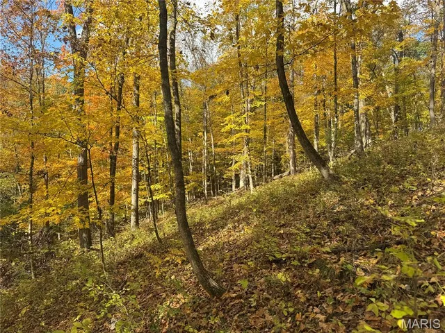 $130,000 | 0 Pawnee Drive, New London, MO 63459