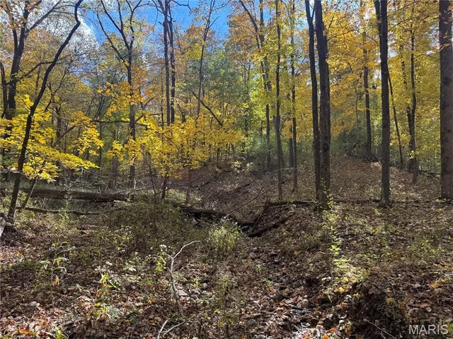 $130,000 | 0 Pawnee Drive, New London, MO 63459