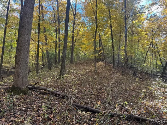 $130,000 | 0 Pawnee Drive, New London, MO 63459