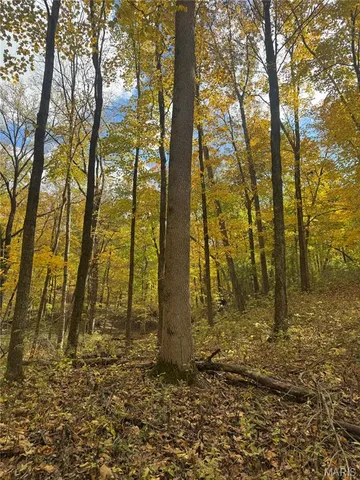 $130,000 | 0 Pawnee Drive, New London, MO 63459