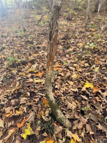 $130,000 | 0 Pawnee Drive, New London, MO 63459