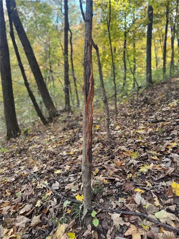 $130,000 | 0 Pawnee Drive, New London, MO 63459