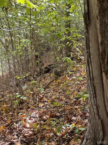 $130,000 | 0 Pawnee Drive, New London, MO 63459