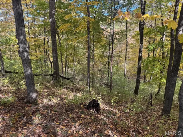 $130,000 | 0 Pawnee Drive, New London, MO 63459