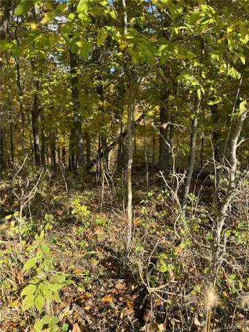 $130,000 | 0 Pawnee Drive, New London, MO 63459